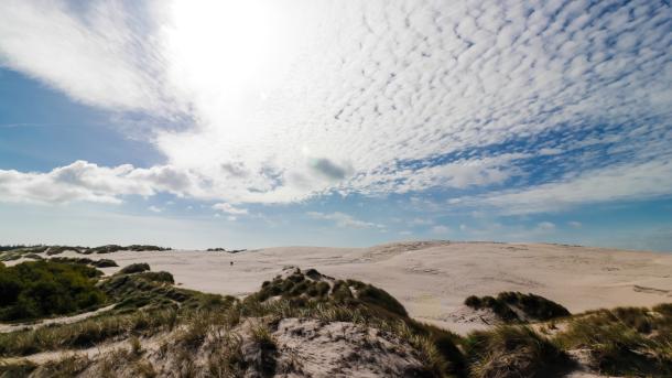 Råbjerg Mile in North Jutland